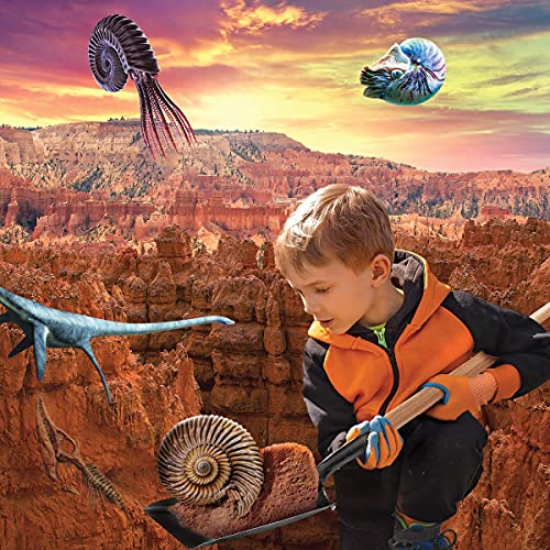 Discovery Colossal Fossil Dig Set, 15-Piece Archeology Excavation Kit, Uncover Real Shark Teeth and More, STEM Toys for Boys and Girls