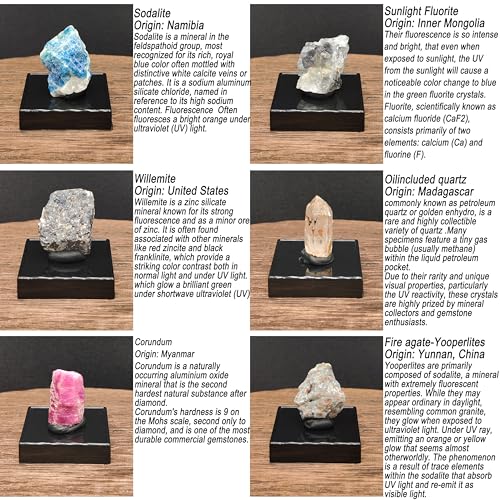 Ultimate Fluorescent Minerals Collection, 12 Rare Glowing Stones Set with UV Flashlight and Display Stand, STEM Geology Science Gift for Students and Collectors