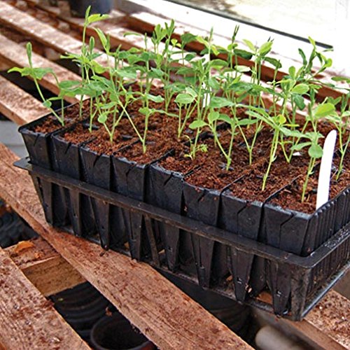 Deep Kit - Seed and Cutting Propagation (32 Cell, 5 inch)
