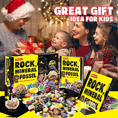 Rocks Minerals Fossils Science Kit-250+ Real Gems, Display Case, Kids Gift - style: 250 Pieces+