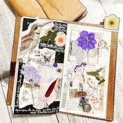 Dried Pressed Flowers Real Pressed Flowers Natural Dry Leaves Bulk Mixed Colorful Herbs Kit with Tweezers for Scrapbooking DIY Candle Jewelry Crafts Making Nails - color: Vivid Color