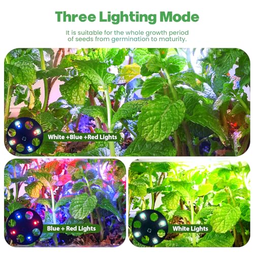Seed Starter Trays with Grow Lights, 72 Cells Seed Starter Kit with Lights, 3 Lighting Mode, 4 Timing Set, Germination Kit for Seed Starting Trays, Seedling Starter with High Humidity Control Domes - color: Green 6pcs