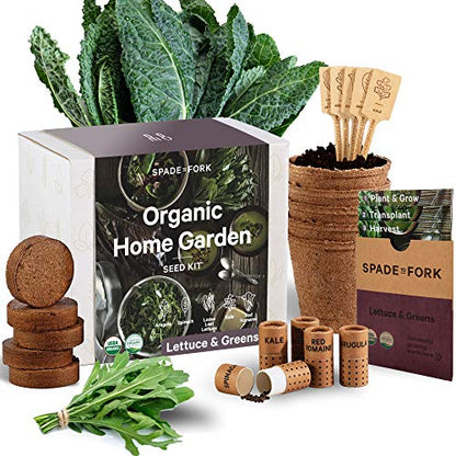 Organic Indoor Lettuce & Greens Garden Starter Kit - Certified USDA Organic Non GMO - Includes Spinach, Kale, Red Romaine, Loose Leaf Lettuce Seeds for Planting, Potting Soil, Peat Pots - style: Lettuce & Greens Kit