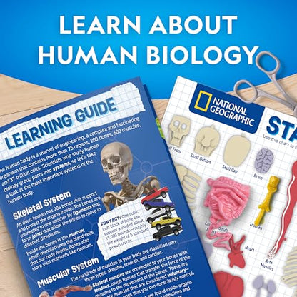 National Geographic Human Body Model for Kids 32-Piece Anatomy Set