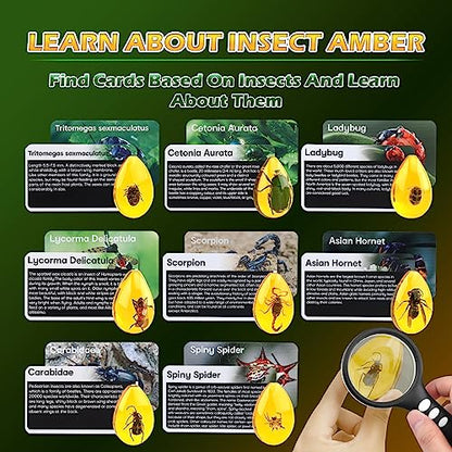 Woumserta Amber Dig Kits, Bugs Toys for Kids 5-7, 8 Insects Specimens Gifts - style: Insect
