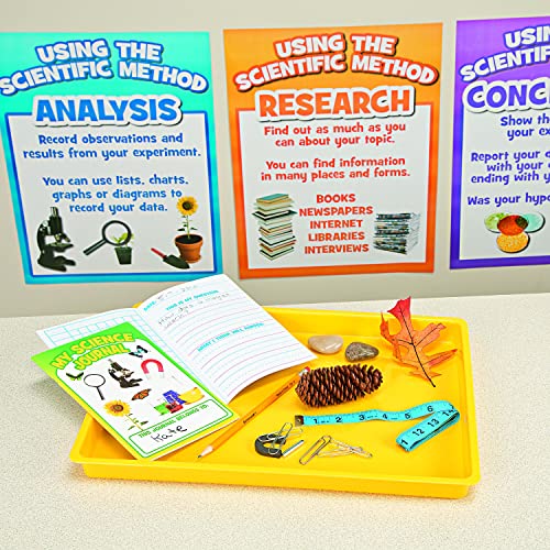 Fun Express Magnets for Kids Set of 12 - Mini Horseshoe Magnet with Bar for Science Experiments | Educational Magnetic Toys for Classroom Learning | Perfect Science Toys for Teachers & Students