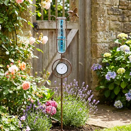 MUMTOP Rain Gauge Outdoor, Bird Rain Gauge for Lawn, Yard and Garden