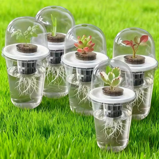 Hydroponic Seedling Cup, Plastic Self-Watering Planter with Transparent Humidity Dome, Clear Container for Root Monitoring, Suitable for Growing Vegetables, Succulents