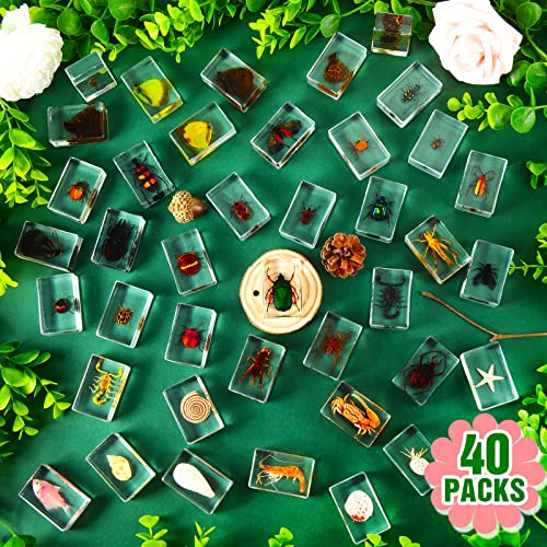 40 Pcs Insect in Resin Specimen Bugs Collection Paperweights Real Bugs in Resin Various Insect Specimen for Kids Scientific Educational Supplies