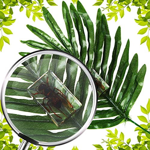 12 Pcs Insect Specimens for Kids Bug Collection Kit, Insect - style: Insect