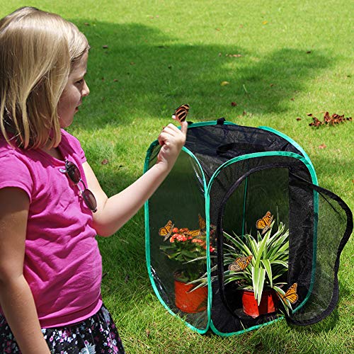 RESTCLOUD Insect and Butterfly Habitat Cage Pop-up 23.6 Inches Tall - color: Black With Green, size: 15.7 x 15.7 x 23.6 inches