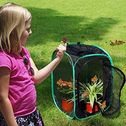 RESTCLOUD Insect and Butterfly Habitat Cage Pop-up 23.6 Inches Tall - color: Black With Green, size: 15.7 x 15.7 x 23.6 inches