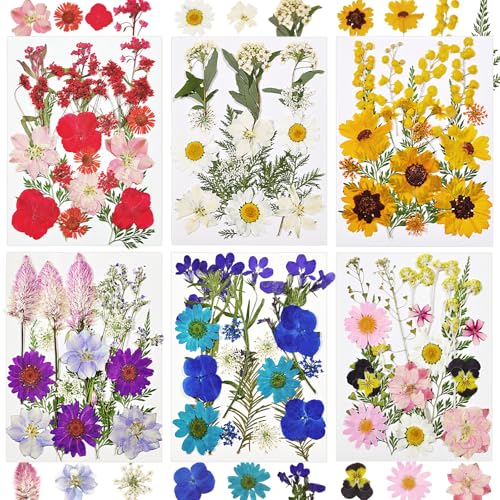 Dried Flowers for Resin, 106pcs Natural Flowers and Leaves Compressed - size: 103 pcs Natural Dried Flowers and Leaves