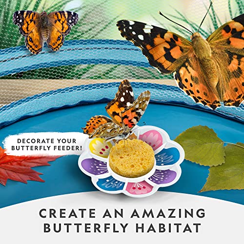 National Geographic Butterfly Growing Kit for Kids Nature Activity - style: Starter Butterfly Kit