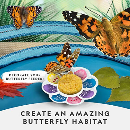 National Geographic Butterfly Growing Kit for Kids Nature Activity - style: Starter Butterfly Kit