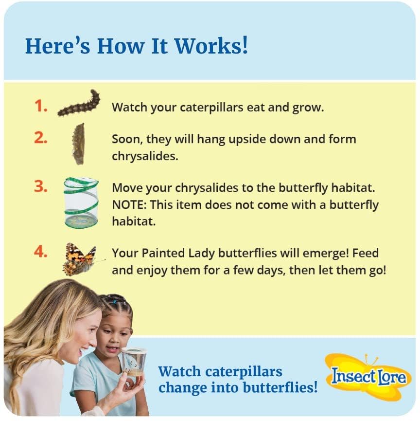 Insect Lore Two Cups of Live Caterpillars - 10 Live Painted Lady Caterpillars with Food - Includes Bonus Butterfly Life Cycle Figurines - Refill for Butterfly Garden Habitat