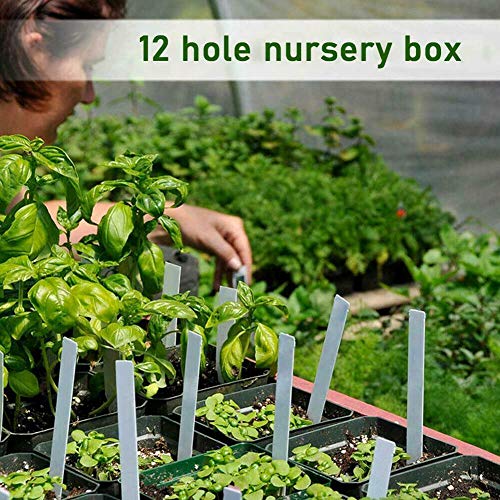 12 Hole Seedling Box with Ventilation Hole Breathable Adjustable Mini Greenhouse Gardening Plant Seedling Box,19x14.5x11cm (Green) - color: Green