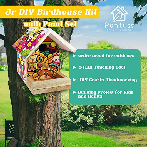 DIY Bird House Kits for Adults & Kids,DIY Woodcraft Building Projects for Kids and Adults,Bundles