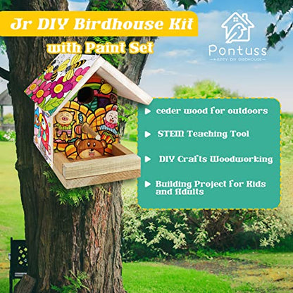 DIY Bird House Kits for Adults & Kids,DIY Woodcraft Building Projects for Kids and Adults,Bundles
