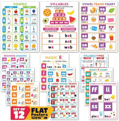 Sproutbrite 12 Pack 12"x16" Educational ABC Poster Bundle for Toddlers - color: Bright