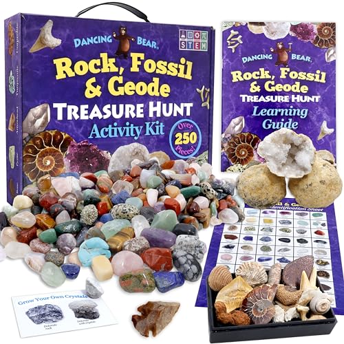 DANCING BEAR Geology Fossil Bundle – 2 STEM Activity Kits: Rock, Mineral & Geodes and Fossil Sorting Activity