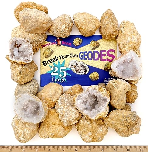 DANCING BEAR 25 Break Your Own Geodes, 90% Hollow, (Large 1.75-2.5") Crack Open & Discover Amazing Surprise Crystals Inside! Educational Info and Instructions Included, Fun Party Favors & Prizes - style: Large (1.75-2.5")