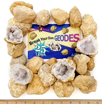 DANCING BEAR 25 Break Your Own Geodes, 90% Hollow, (Large 1.75-2.5") Crack Open & Discover Amazing Surprise Crystals Inside! Educational Info and Instructions Included, Fun Party Favors & Prizes - style: Large (1.75-2.5")