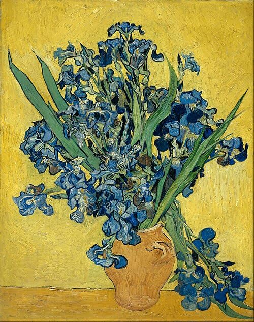 VeGuude Diamond Art Kits for Adults-Van Gogh Diamond Painting Kits for Adults Beginners,Irises 5D DIY Full Drill Diamond Painting Cat Gem Art and Crafts 12x16inch - color: DP02871