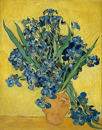 VeGuude Diamond Art Kits for Adults-Van Gogh Diamond Painting Kits for Adults Beginners,Irises 5D DIY Full Drill Diamond Painting Cat Gem Art and Crafts 12x16inch - color: DP02871
