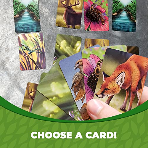 Ecosystem - A Family Card Game about Building Habitats | Learn about Animals, Ecology & Biodiversity for Kids, Adults, Families or the classroom! Fun Board Games for Environmental Science Class - style: Ecosystem