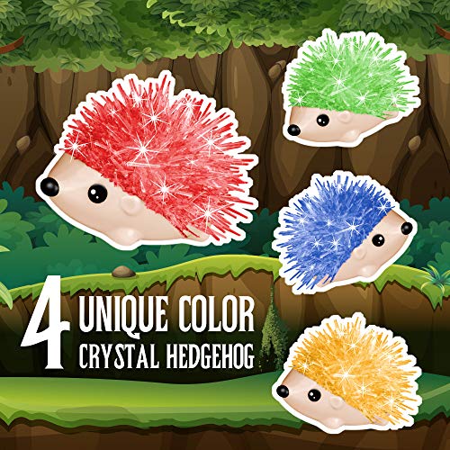 Crystal Growing Kit - 4 Vibrant Hedgehogs Fast 24H, STEM Gift for Kids 6-12 - color: 4 Hedgehog Crystal