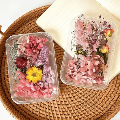 2PCS Dried Flowers Kit, Natural Dried Flowers Kit for DIY Crafts, Scrapbook, Card Making (Style15_28) - color: Style15_28