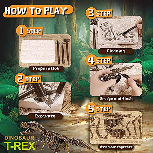 Dig & Discover Dino Tyrannosaurus Rex Dinosaur Skeleton 3D Fossil Bones Excavation, Science Educational Toy Kit for Kids, Children - color: Tyrannosaurus Rex