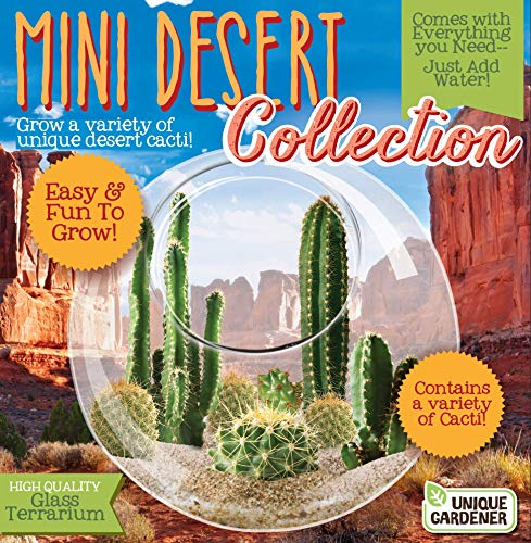 Cactus Succulent Glass Terrarium Starter Kit from Unique Gardener - Grow Your Own Indoor Desert Terrariums - Includes Live Cacti Plants and Easy Setup with Complete Terrarium Supplies - style: Mini Desert