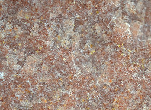 EISCO Quartzite Specimen (Metamorphic Rock), Approx. 1" (3cm)