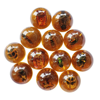 Multiple Psc Spherical Insect Amber Fossil, Spherical Luminous Insect Specimen, Educational and Scientific Amber Collection (8Pcs)