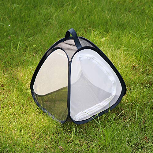 RESTCLOUD Mini Butterfly Habitat, Insect Mesh Cage, Bug Terrarium Pop Up 11" x 11" Tall - size: 11" x 11"