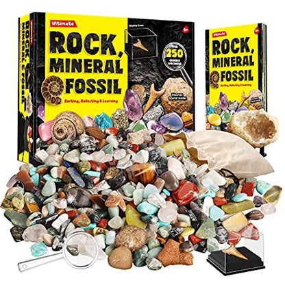 Rocks Minerals Fossils Science Kit-250+ Real Gems, Display Case, Kids Gift - style: 250 Pieces+