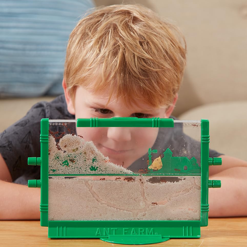 Ant Farm