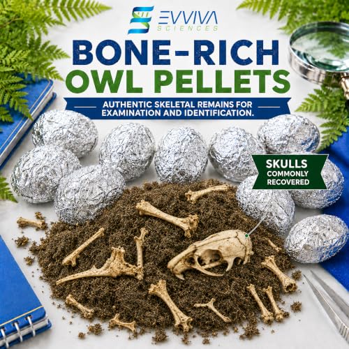 ES EVVIVA SCIENCES Owl Pellet Kit - Dissect 15 Mostly Small Real Owl Pellets w/Tools & PDF Bone Charts - Science Education Kit for Ages 15+ - Hands-On Animal Biology Science Lab Activity