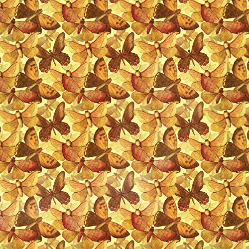 Origami Butterflies Kit: The LaFosse Butterfly Design System - Kit Includes 2 Origami Books, 12 Projects, 98 Origami Papers: Great for Both Kids and Adults