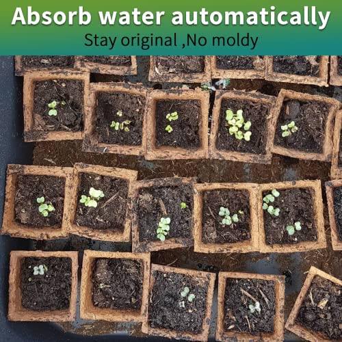 400Cells Seedling Start Trays with Drain Holes,40pcs Peat Pots Seedling Pots Biodegradable,Seedling Starter Kit,Organic Germination Plant Starter Trays(400xLabels,2xTransplant Tools,1xSpray Bottle) - size: 400cells-40pcs