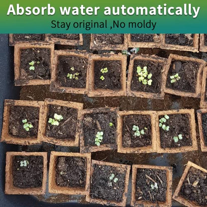 400Cells Seedling Start Trays with Drain Holes,40pcs Peat Pots Seedling Pots Biodegradable,Seedling Starter Kit,Organic Germination Plant Starter Trays(400xLabels,2xTransplant Tools,1xSpray Bottle) - size: 400cells-40pcs