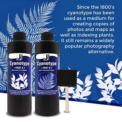 Jacquard Cyanotype Kit Sun Printing for Paper & Fabric Bundled Sponge Brush
