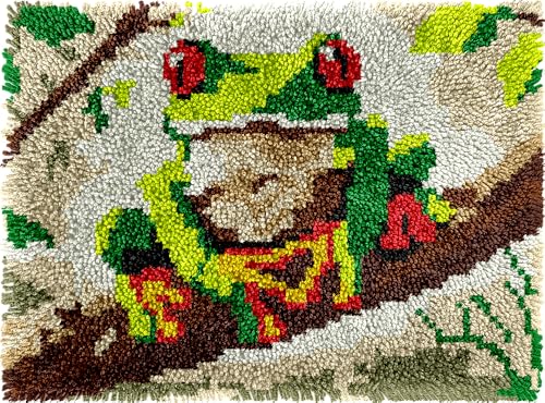 Cute Frog Latch Hook Kits for Adults Kids Beginners Amphibious Animals Latch Hook Rug Kit Pre-Printed Hook and Latch Carpet Making Kits Cross-stitch DIY Wall Hanging Crochet Set 20x15 In. Craft Gift - color: Cute Frog Rug
