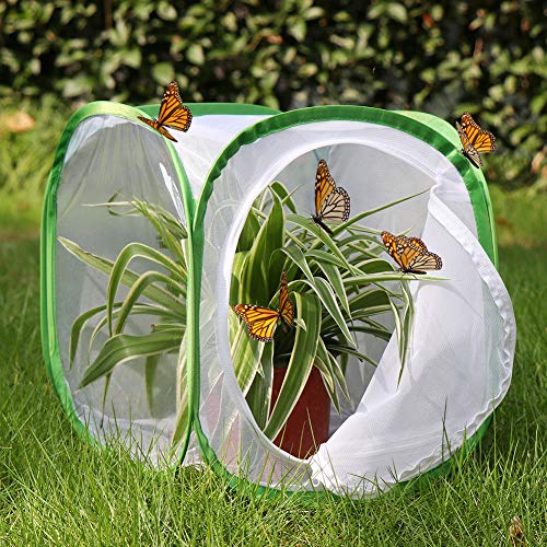 Insect and Butterfly Habitat Cage Terrarium Pop-up 12 X 12 X 12 Inches, Polyester Bottom for Easier Clean - size: 12 x 12 x 12 inches