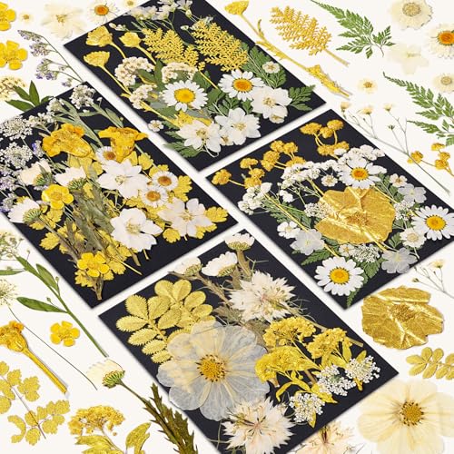 85 Pcs Dried Flowers for Crafts - size: 85 pcs Golden+White Dried Flowers