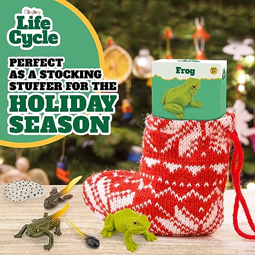 Life Cycle Kit Montessori - Realistic Figurine Toys, Animal Matching Game Frog Animals, Easter Basket Stuffers for Kids, Science Fun for Learning Education Toys - style: Life Cycle - Frog