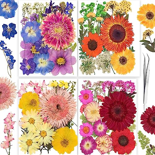 122PCS Large Nature Dried Pressed Flowers for Resin Mold, Real Dry Pressing Floral with Butterfly Transparent Stickers Set for DIY Jewelry Making Nail Card Scrapbook Art Craft Love Parade - color: Love Parade
