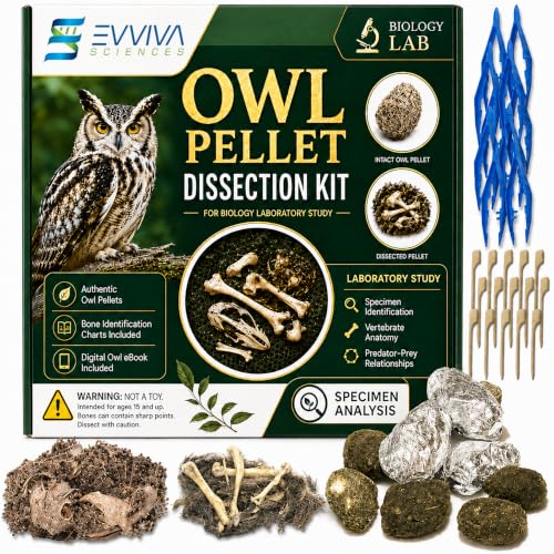 ES EVVIVA SCIENCES Owl Pellet Kit - Dissect 15 Mostly Small Real Owl Pellets w/Tools & PDF Bone Charts - Science Education Kit for Ages 15+ - Hands-On Animal Biology Science Lab Activity